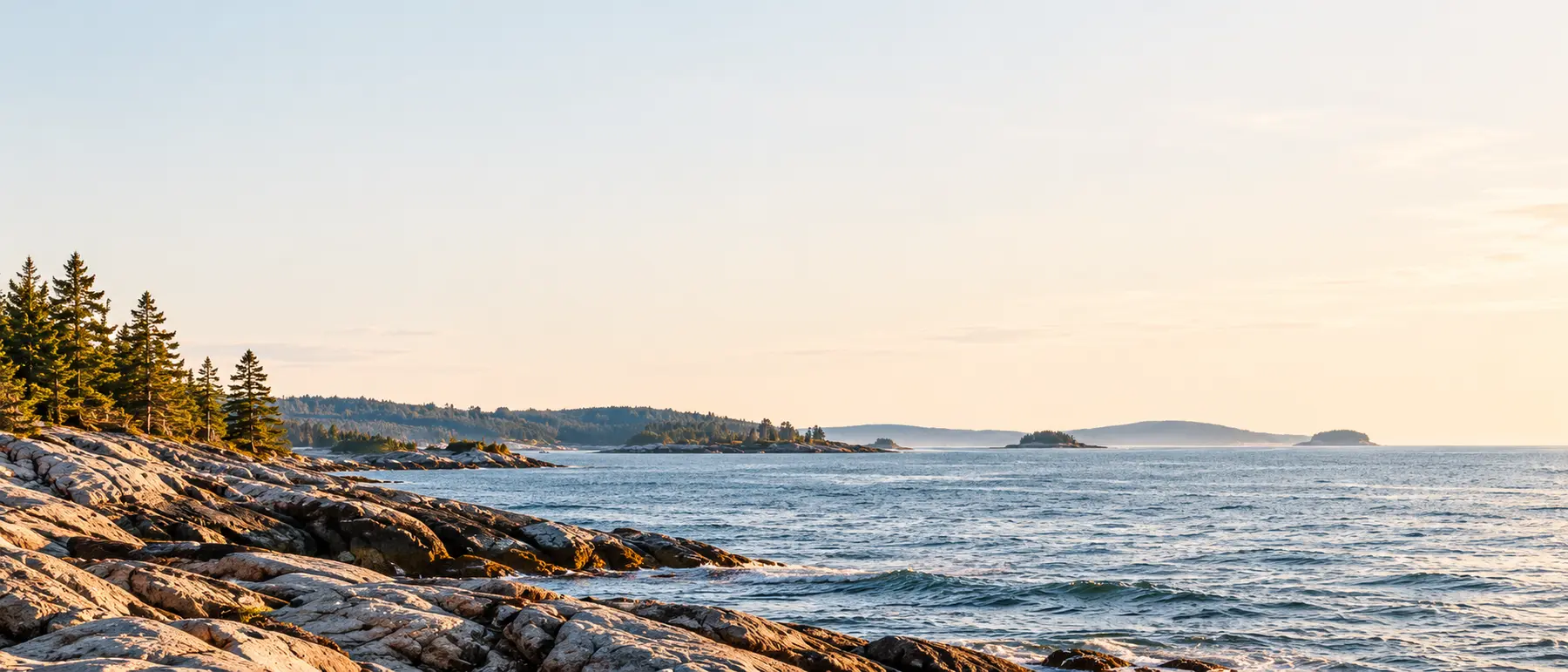 Nova Scotia-inspired coastal brand artwork
